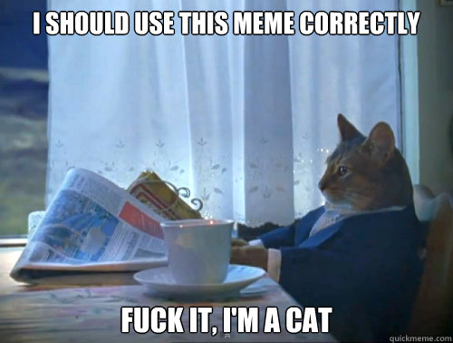 I should use this meme correctly fuck it, I'm a cat  The One Percent Cat