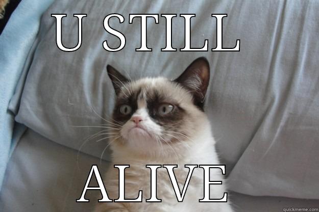 U STILL  ALIVE Grumpy Cat