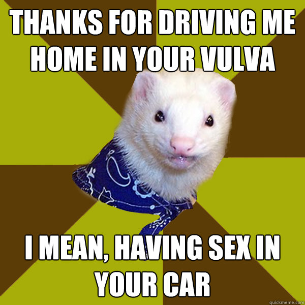 Thanks for driving me home in your vulva I mean, having sex in your car  