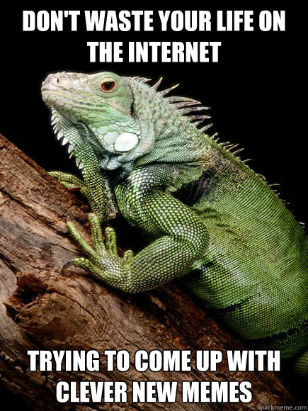 Don't waste your life on the internet trying to come up with clever new memes  Ironic Advice Iguana