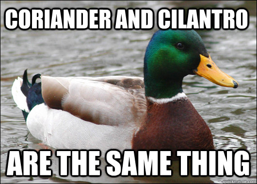 Coriander and cilantro Are the same thing  Actual Advice Mallard