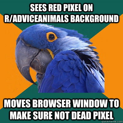Sees red pixel on r/adviceanimals background moves browser window to make sure not dead pixel  Paranoid Parrot