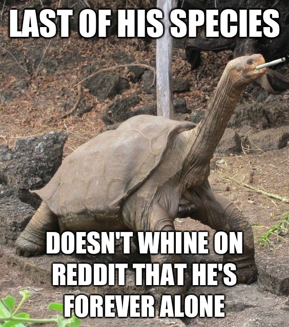 Last of his species doesn't whine on Reddit that he's forever alone  Good Guy George