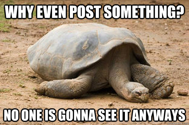 Why even post something? No one is gonna see it anyways   Depression Turtle