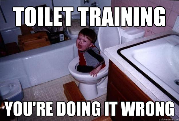Toilet Training You're doing it wrong  Toilet Training