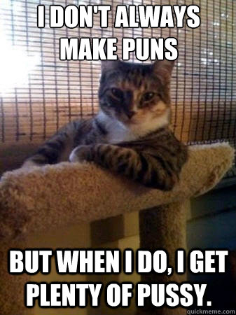 I don't always make puns but when i do, I get plenty of pussy.  The Most Interesting Cat in the World