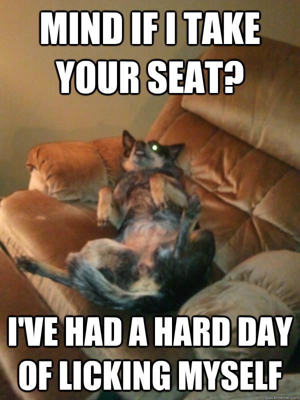 Mind if I take your seat? I've had a hard day of licking myself  