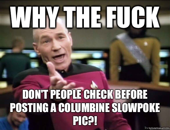 why the fuck Don't people check before posting a columbine slowpoke pic?!  Annoyed Picard HD