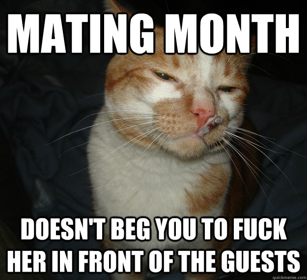 mating month doesn't beg you to fuck her in front of the guests  Cool Cat Craig