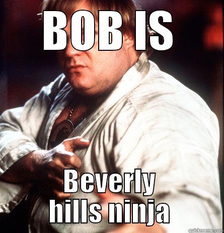 BOB IS BEVERLY HILLS NINJA Misc