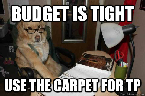 Budget is tight use the carpet for tp - Budget is tight use the carpet for tp  Financial Advice Dog