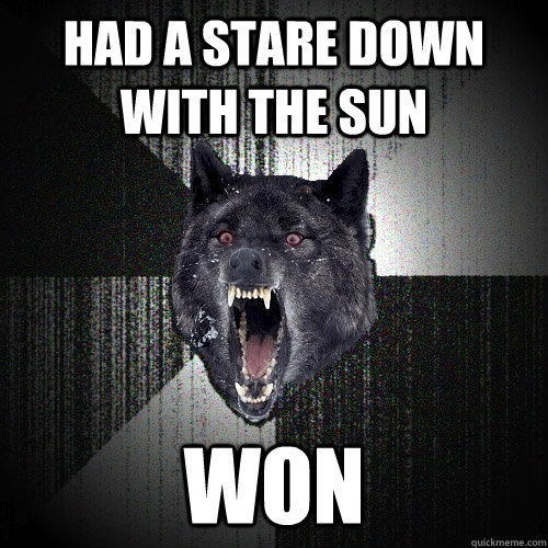 Had a stare down with the sun won  Insanity Wolf