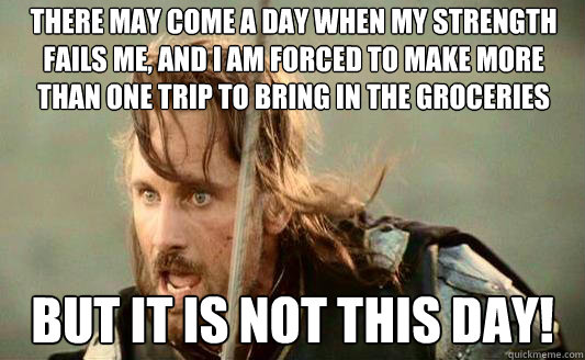There may come a day when my strength fails me, and I am forced to make more than one trip to bring in the groceries But it is not this day! Caption 3 goes here  Aragorn