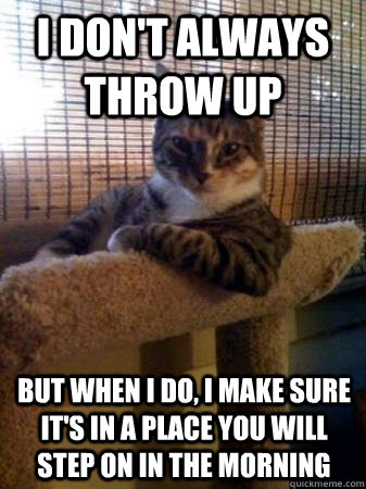 I don't always throw up but when I do, I make sure it's in a place you will step on in the morning  The Most Interesting Cat in the World