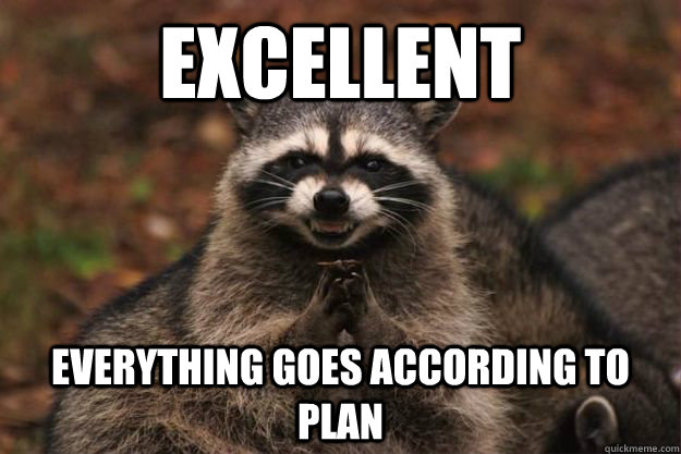 Excellent Everything goes according to plan  Evil Plotting Raccoon