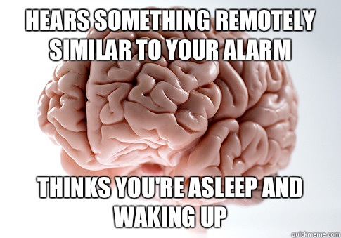 Hears something remotely similar to your alarm Thinks you're asleep and waking up  Scumbag Brain