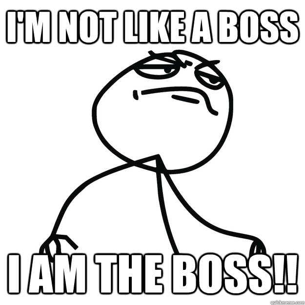 I'M NOT LIKE A BOSS I AM THE BOSS!!  