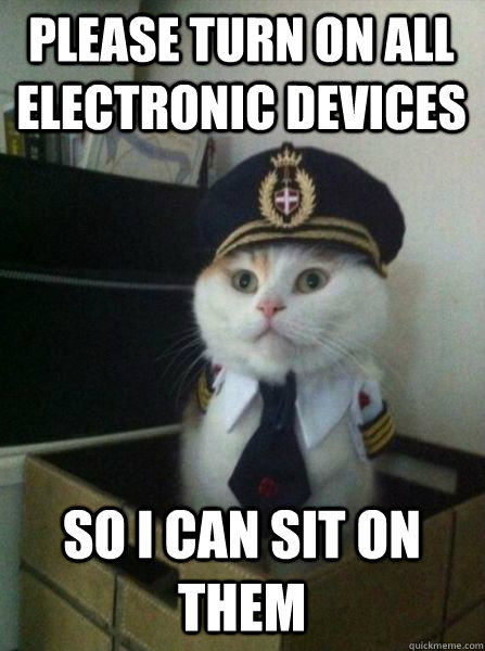 Please turn ON all electronic devices So i can sit on them  Captain kitteh