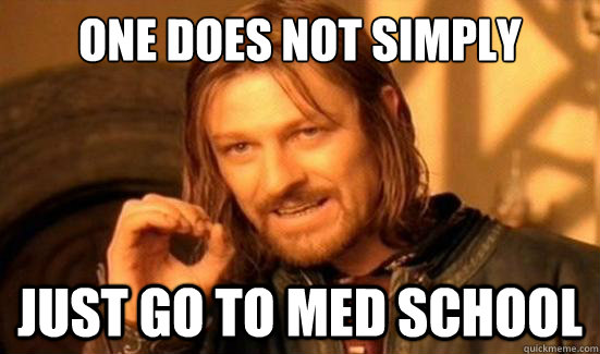 One Does Not Simply just go to med school  Boromir