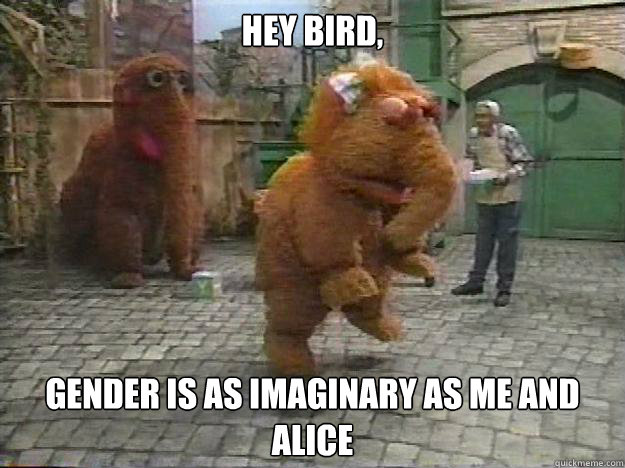 Hey bird, gender is as imaginary as me and alice  
