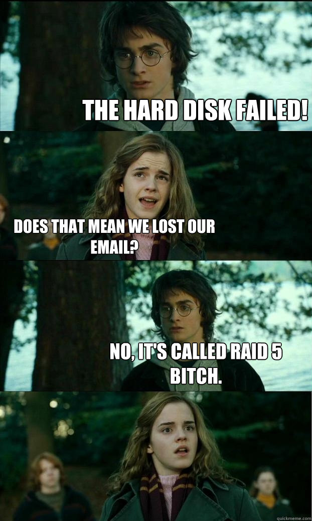 the hard disk failed! does that mean we lost our email? no, it's called raid 5 bitch.  Horny Harry