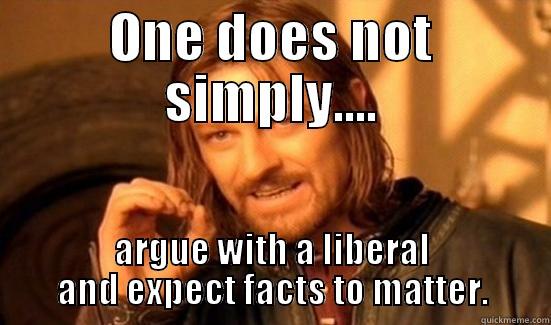 ONE DOES NOT SIMPLY.... ARGUE WITH A LIBERAL AND EXPECT FACTS TO MATTER. Boromir