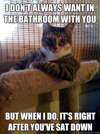 I don't always want in the bathroom with you but when I do, it's right after you've sat down  The Most Interesting Cat in the World