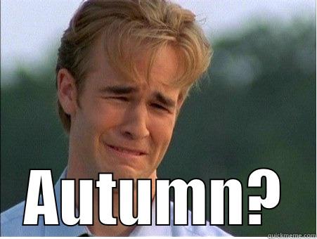  AUTUMN? 1990s Problems