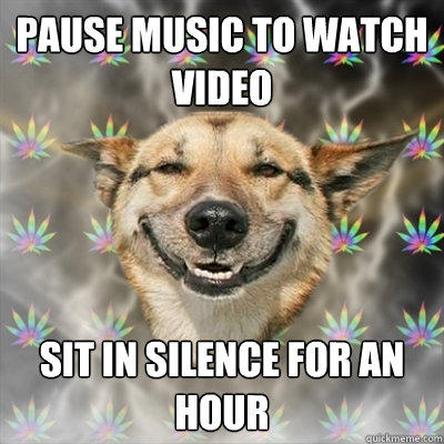 Pause music to watch video sit in silence for an hour - Pause music to watch video sit in silence for an hour  Stoner Dog