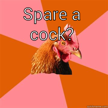 SPARE A COCK?  Anti-Joke Chicken