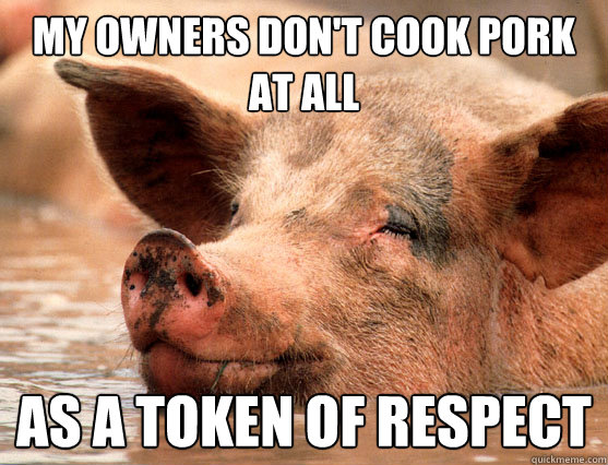 my owners don't cook pork at all as a token of respect  Stoner Pig