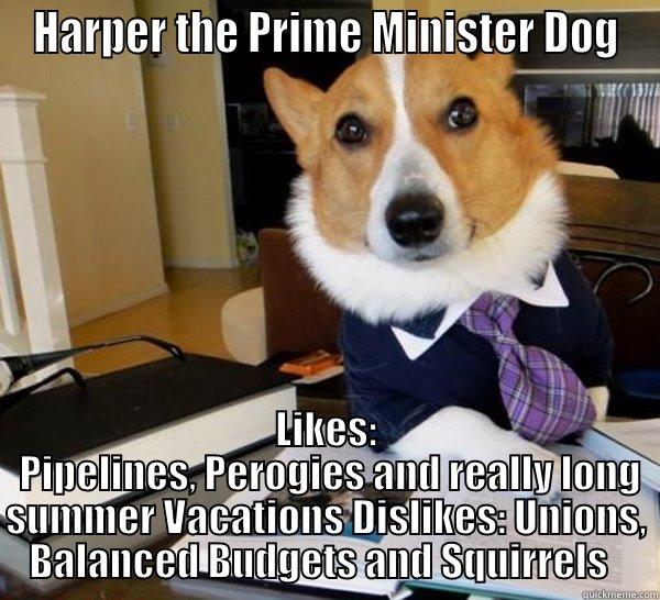  LIKES:  PIPELINES, PEROGIES AND REALLY LONG SUMMER VACATIONS DISLIKES: UNIONS, BALANCED BUDGETS AND SQUIRRELS   Lawyer Dog