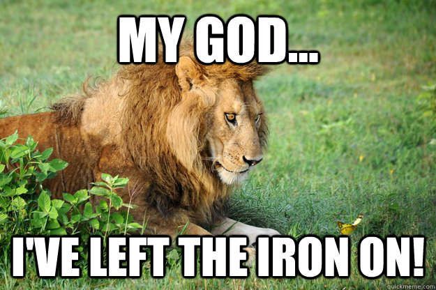 MY GOD... I've Left THE IRON ON!  