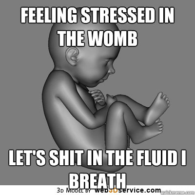 Feeling stressed in the womb Let's shit in the fluid I breath - Feeling stressed in the womb Let's shit in the fluid I breath  Scumbag Fetus