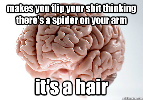 makes you flip your shit thinking there's a spider on your arm it's a hair  - makes you flip your shit thinking there's a spider on your arm it's a hair   Scumbag Brain