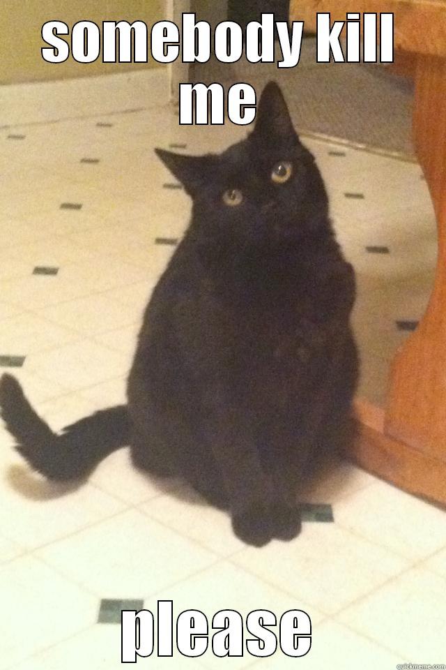 SOMEBODY KILL ME PLEASE Misc