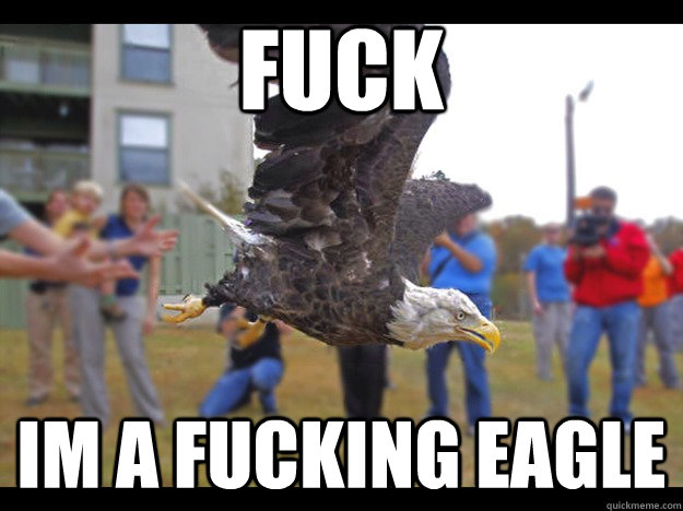 FUCK Im a fucking eagle  Epiphany Eagle