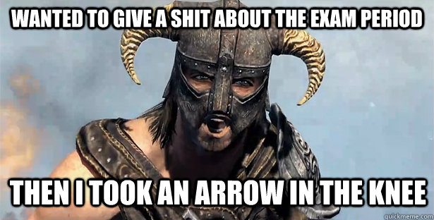 wanted to give a shit about the exam period then i took an arrow in the knee  Skyrim time wasting