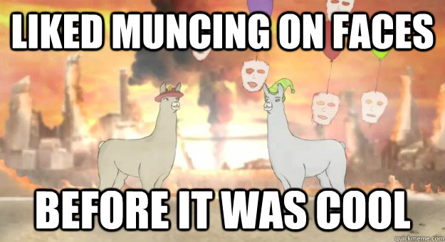 LIKED MUNCING ON FACES BEFORE IT WAS COOL  Llamas with Hats Faces