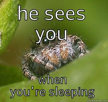 HE SEES YOU WHEN YOU'RE SLEEPING Misunderstood Spider