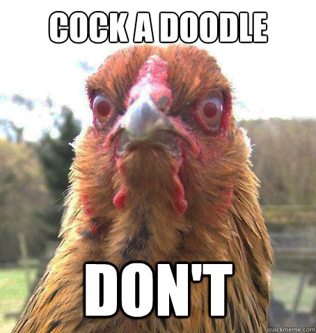cock a doodle don't - cock a doodle don't  RageChicken