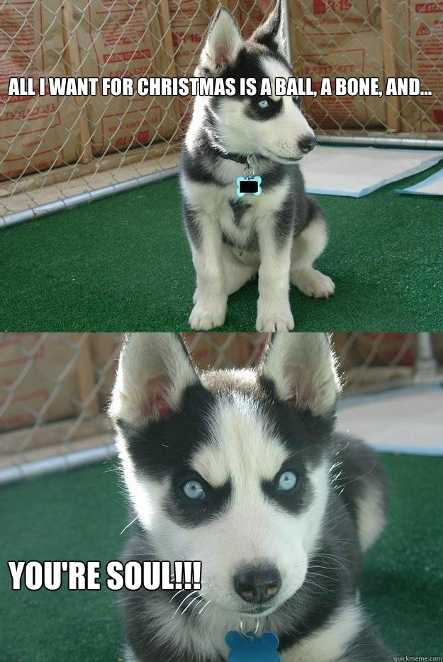 All I want for christmas is a ball, a bone, and... You're soul!!!  Insanity puppy