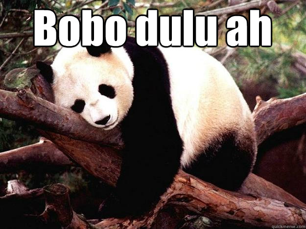 Bobo dulu ah   Procrastination Panda