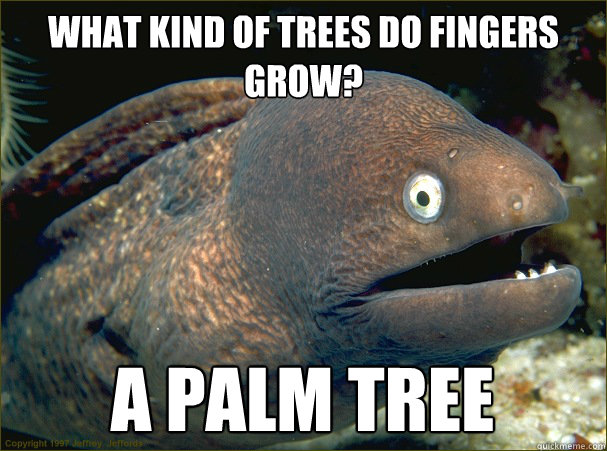 What kind of trees do fingers grow? A Palm tree  Bad Joke Eel