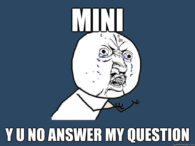 MINI Y U NO ANSWER MY QUESTION - MINI Y U NO ANSWER MY QUESTION  YUNOCOMEHOME