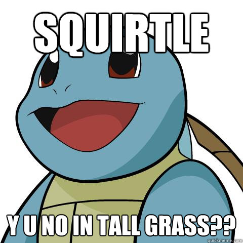 squirtle Y U No In tall grass?? - squirtle Y U No In tall grass??  Squirtle