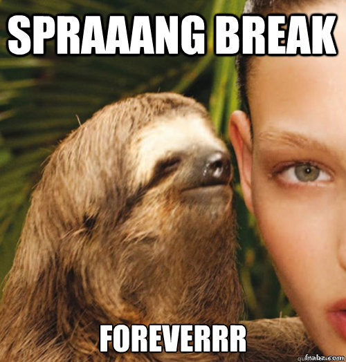 Spraaang break  foreverrr  rape sloth