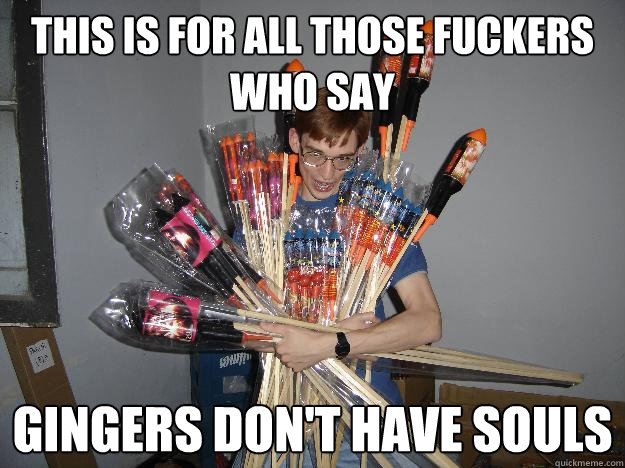 this is for all those fuckers who say gingers don't have souls  Crazy Fireworks Nerd