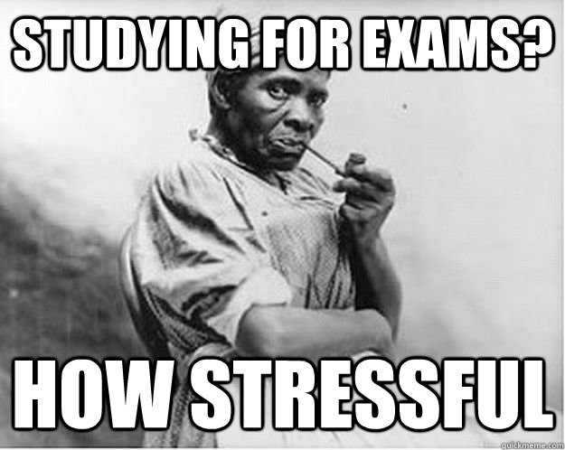Studying for exams? How stressful  Unimpressed Slave