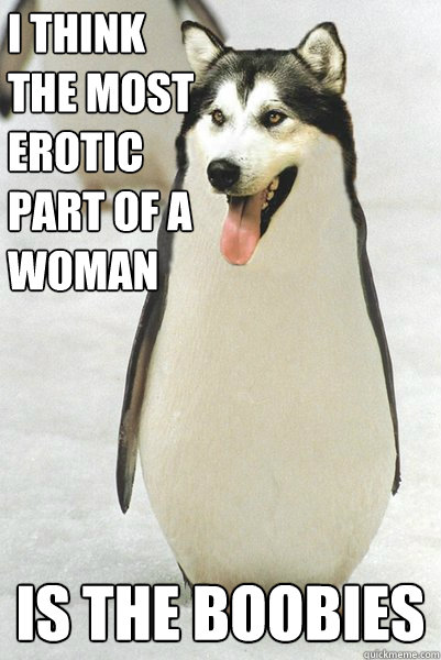 i think the most erotic part of a woman is the boobies  Courageously Awkward Wolf